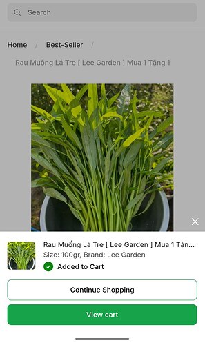 photo_2026-03-20_05-25-38